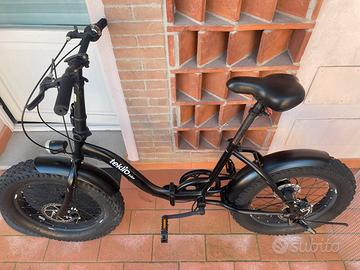 Bicicletta Teklio