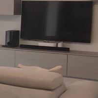 TV lg 55 pollici + dolby lg 