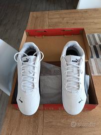 Puma catch