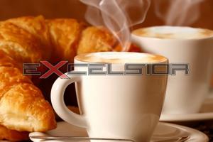 TAGLIO DI PO: ATTIVITA' DI BAR