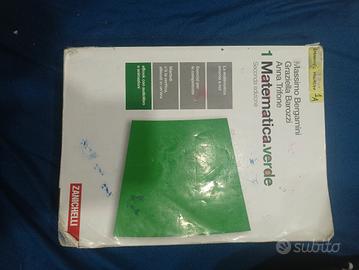 libro matematica verde 
