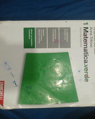 libro matematica verde 