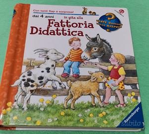 In gita alla Fattoria Didattica, La Coccinella