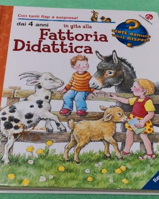 In gita alla Fattoria Didattica, La Coccinella