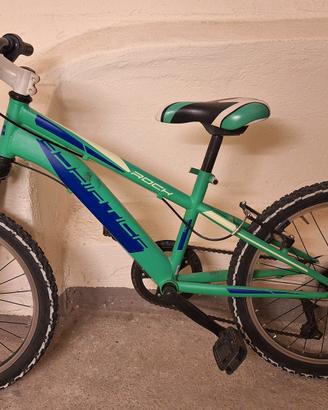 bici 20 pollici