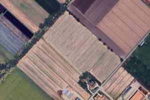 TERRENO AGRICOLO - 50.000 mq - 15 Min da LATINA