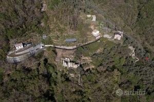 Uliveto entroterra chiavarese