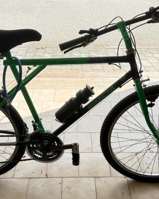 Bicicletta Bianchi