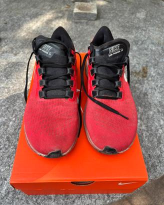 Nike Zoom Pegasus 37 Nr.43