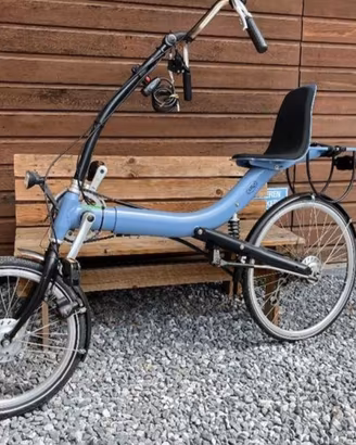 Recumbent Alligt