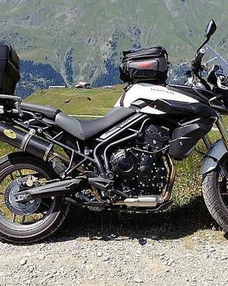Special Carbon Roadsitalia Triumph Tiger 800