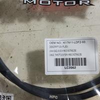 Cavo acceleratore