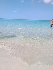 Agosto a lido conchiglie a 50m dalla spiaggia