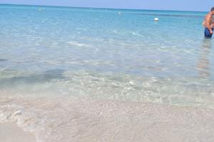 Agosto a lido conchiglie a 50m dalla spiaggia