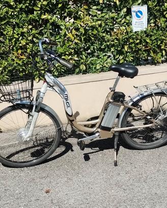 bicicletta elettrica 