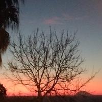 House spiaggia michelino