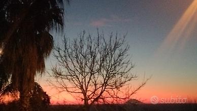 House spiaggia michelino