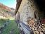 Immagine 11