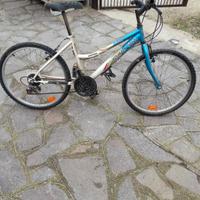 Mountain bike 
