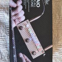Eko Baio effetti chitarra