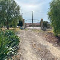 Villa vista mare con uliveto