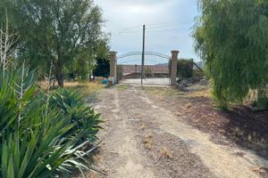 Villa vista mare con uliveto