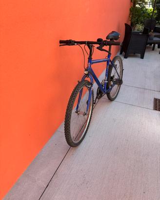 Bicicletta