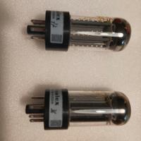 Genelex Gold Lion u77/gz34