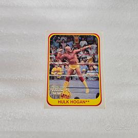 Carte WWF Wrestling Merlin Trading Cards 1991