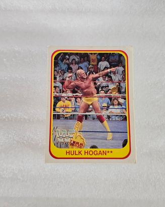 Carte WWF Wrestling Merlin Trading Cards 1991