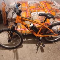 bicicletta olmo sentiero 20