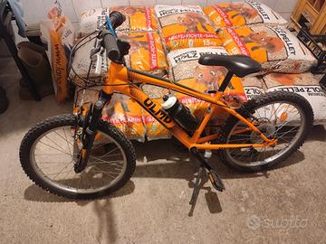 bicicletta olmo sentiero 20