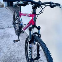 Bicicletta Trek MTB
