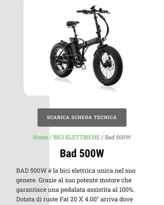 Ebike bad bike fat