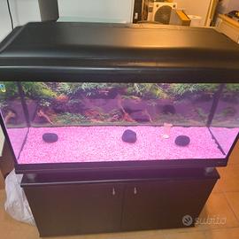 acquario Cayman 110. 230 lt