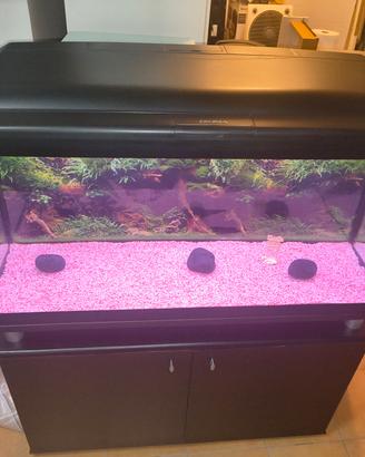 acquario Cayman 110. 230 lt