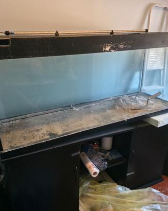 acquario con accessori vari