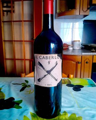 Bottiglia di vino molto rara, in magnum