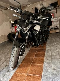 Kawasaki Z900 My 2026