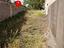 Immagine 26