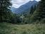 Immagine 8