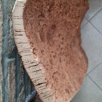 grande vassoio in sughero