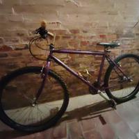 Bicicletta tipo MTB  26"