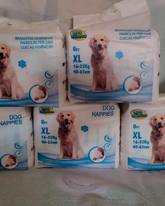 pannolini x cane femmina 