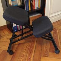 Sedia posturale Eifred Ikea