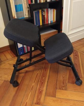 Sedia posturale Eifred Ikea