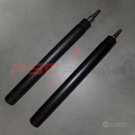 Coppia cartucce ammortizzatori BOGE BMW E28 – E24