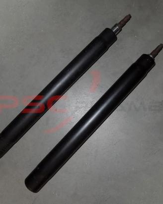 Coppia cartucce ammortizzatori BOGE BMW E28 – E24