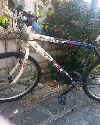 Coppia biciclette Mountain bike da 26 pollic