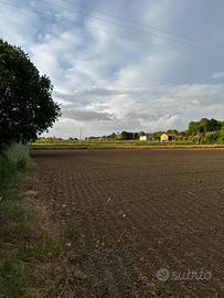 Campi agricoli